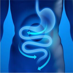 gastroenterologia
